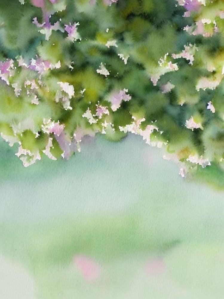 Acropora Abrotanoides Storybook Watercolour