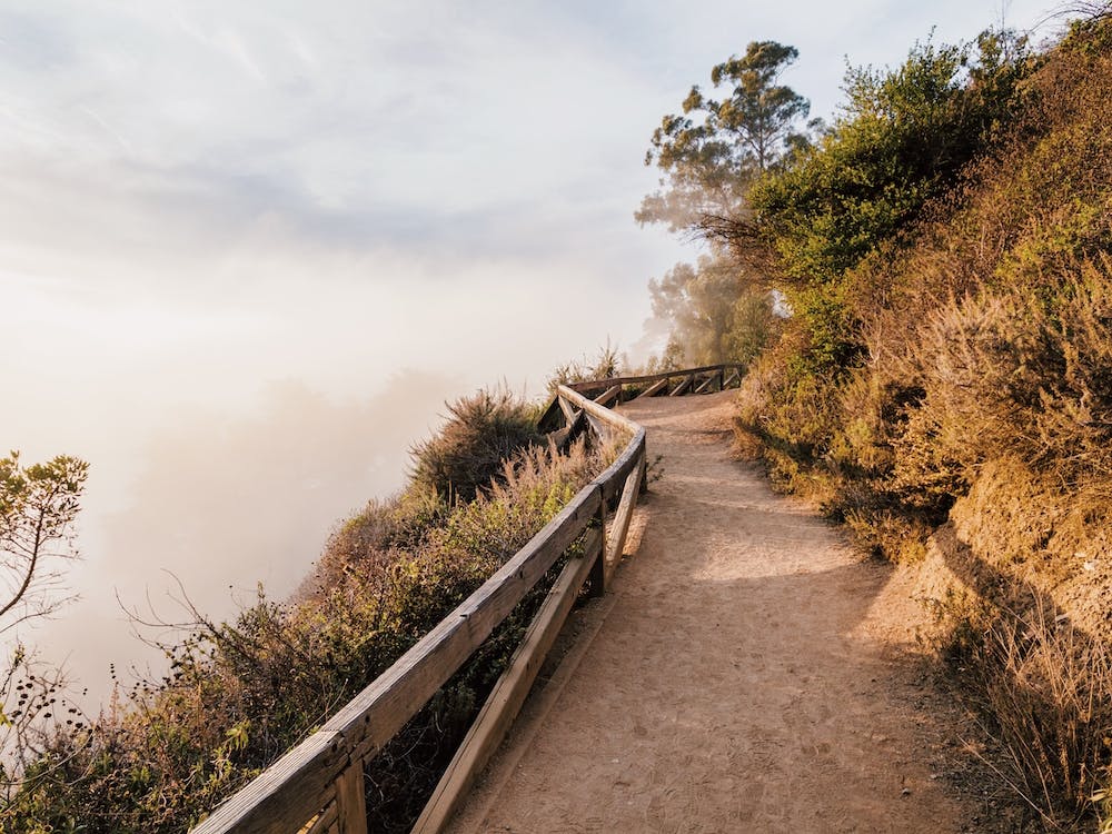 Sandy Trail To The Beach