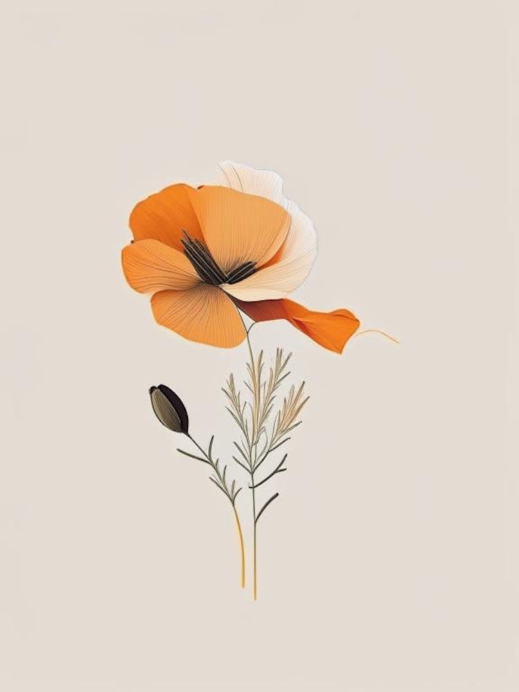 California Poppy Spices And Herbs Retro Minimal 3