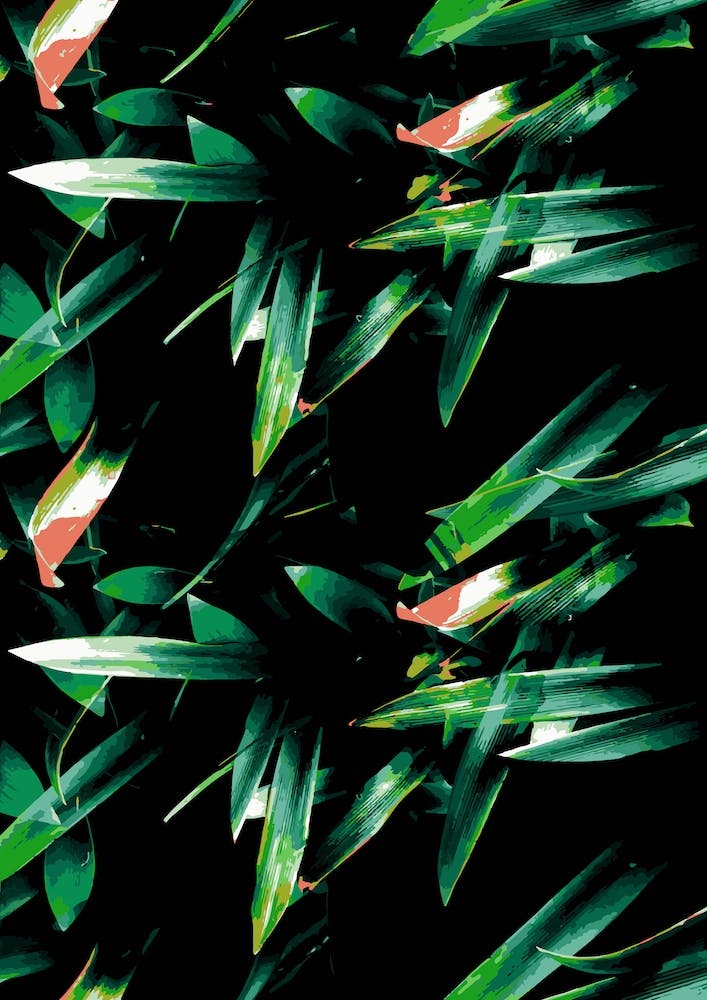 Jungle III