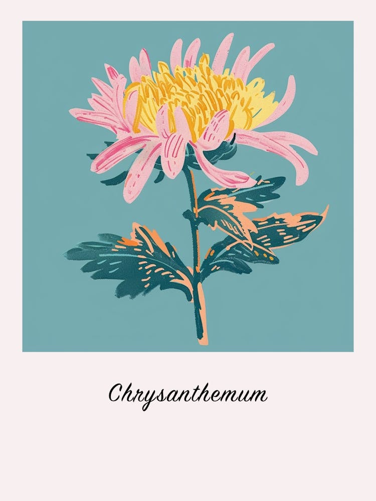 Chrysanthemum 2 Square Flower Illustration Poster