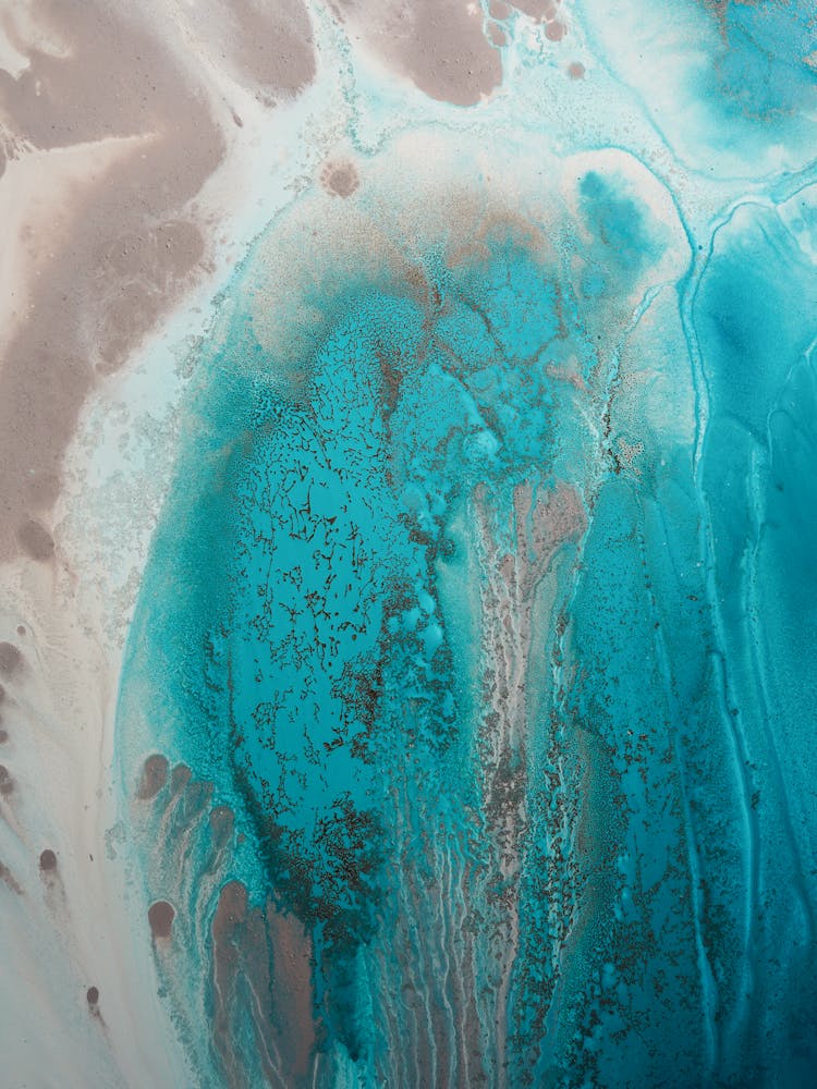 Coral Sea Flow1 3