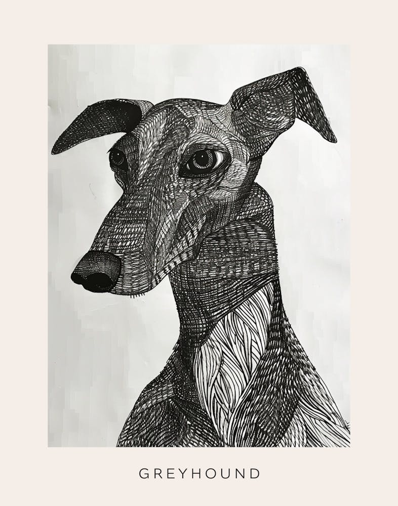 Greyhound Line Sketch 2 Poster