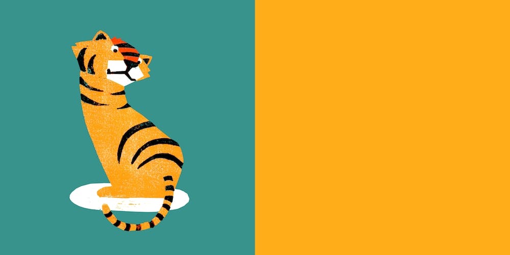 Tiger Illustration And Typography