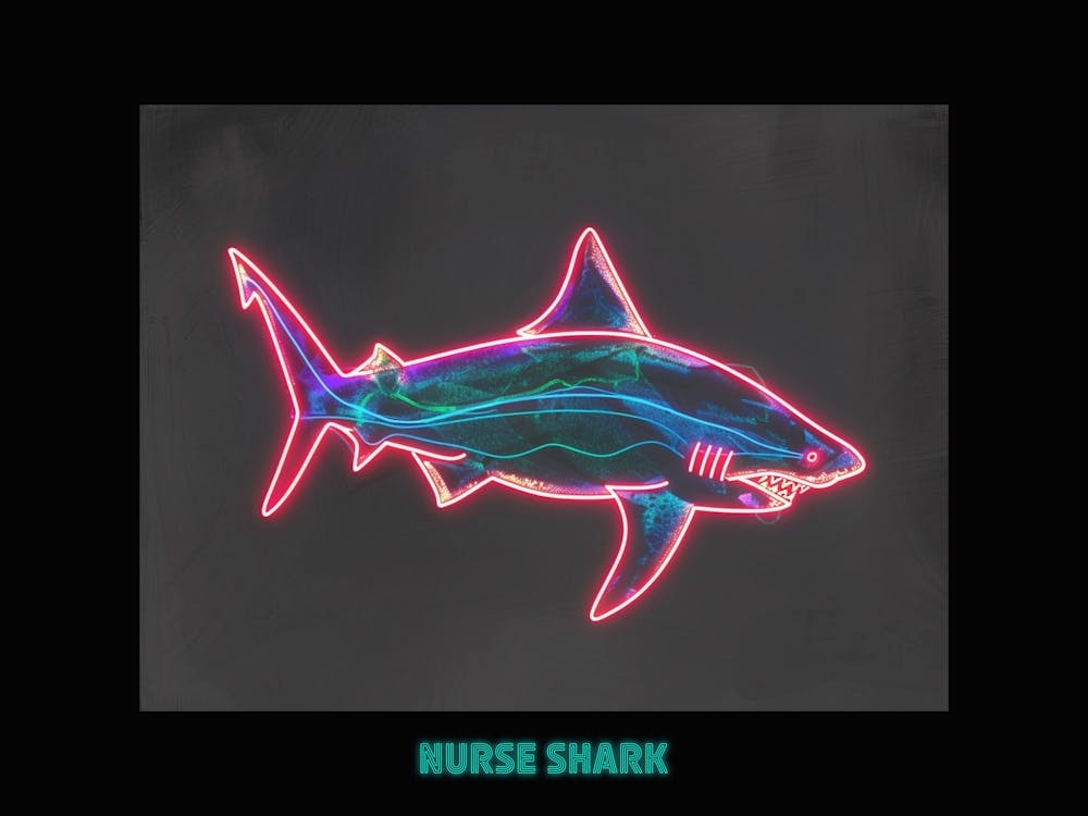 Neon Pink Nurse Shark 4 Poster