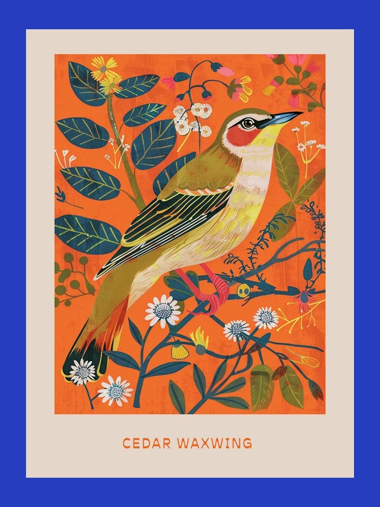 Spring Birds Poster Cedar Waxwing 2