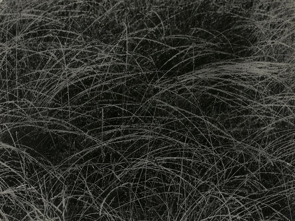 Equivalent (1927), Alfred Stieglitz 1