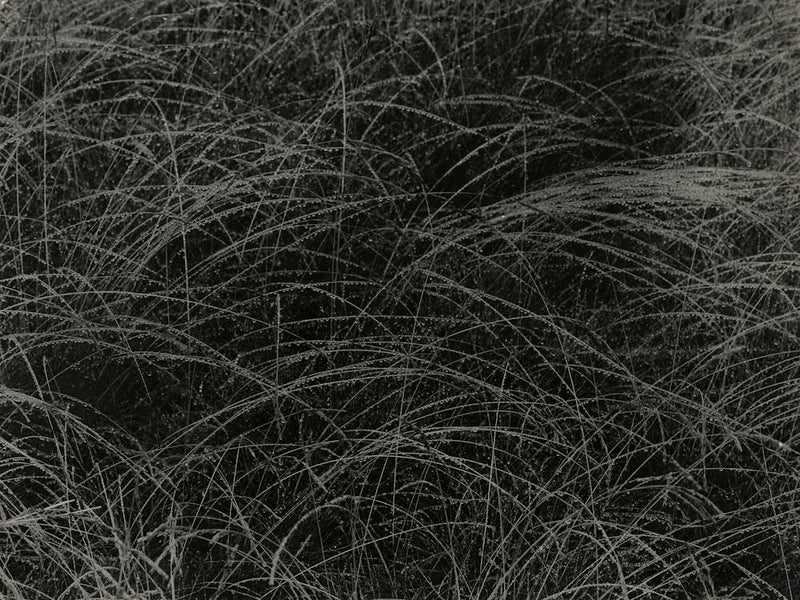Equivalent (1927), Alfred Stieglitz 1