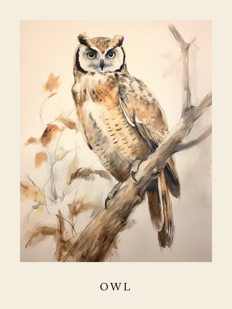 Beatrix Potter Inspired  Animal Watercolour Owl 2