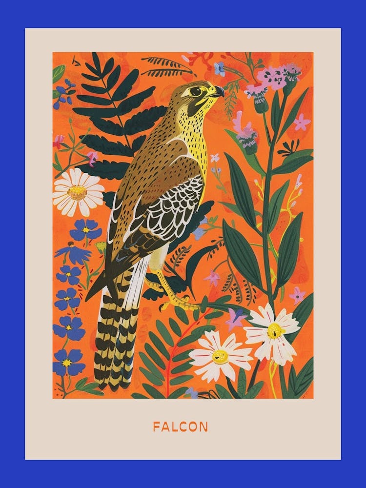 Spring Birds Poster Falcon 4
