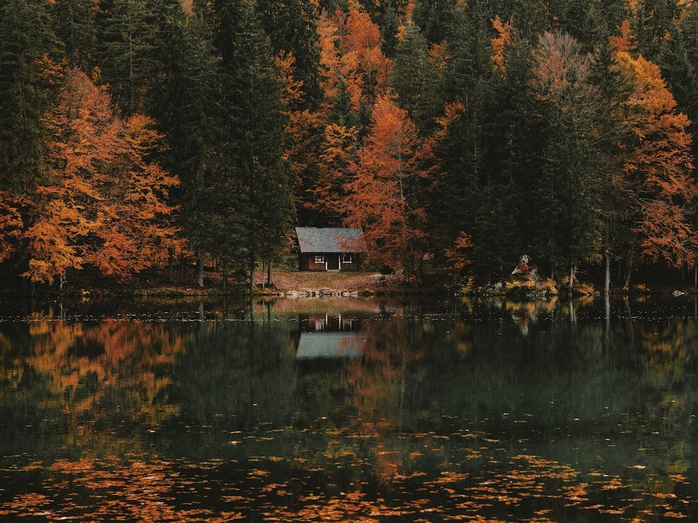 Cabin On Autumn Lake
