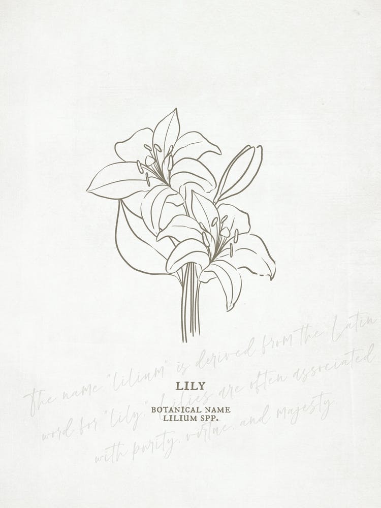 Lily Birth Flower | Antique