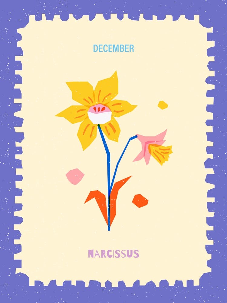 December Birth-month Flower Narcissus 1