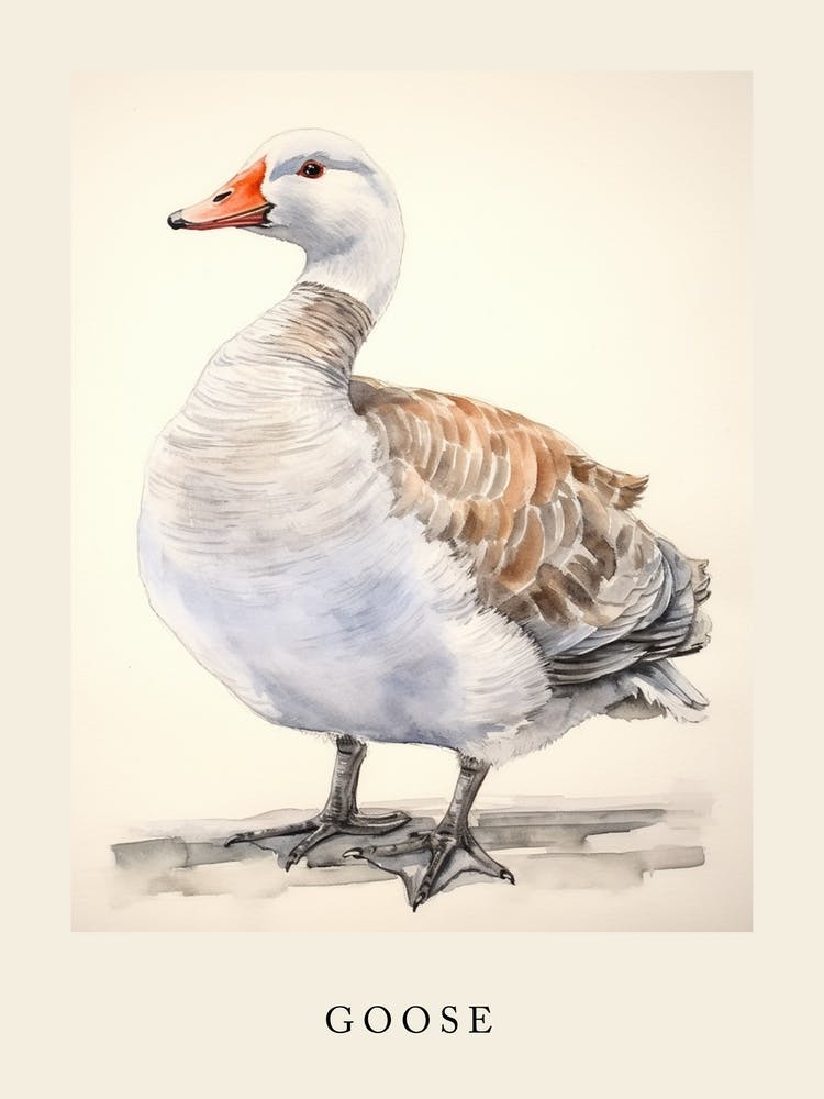 Beatrix Potter Inspired  Animal Watercolour Goose 3