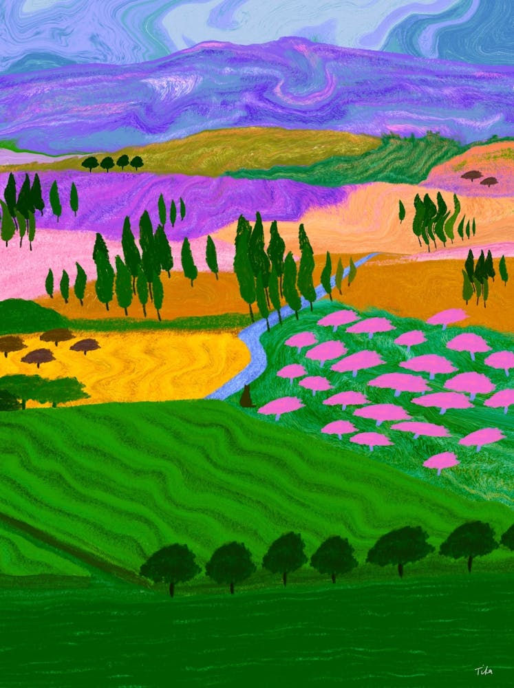 Cat In The Countryside