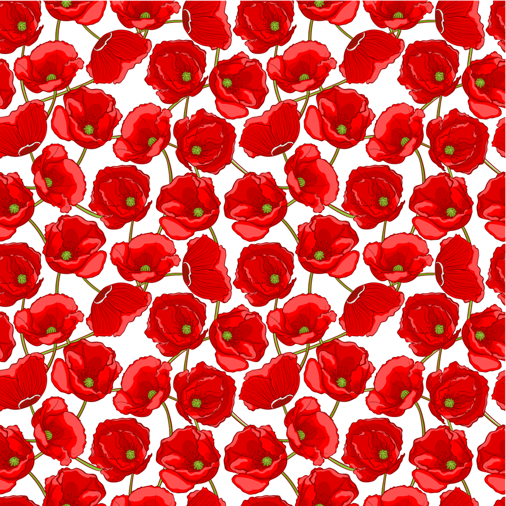 Flower Poppies Plant Petal