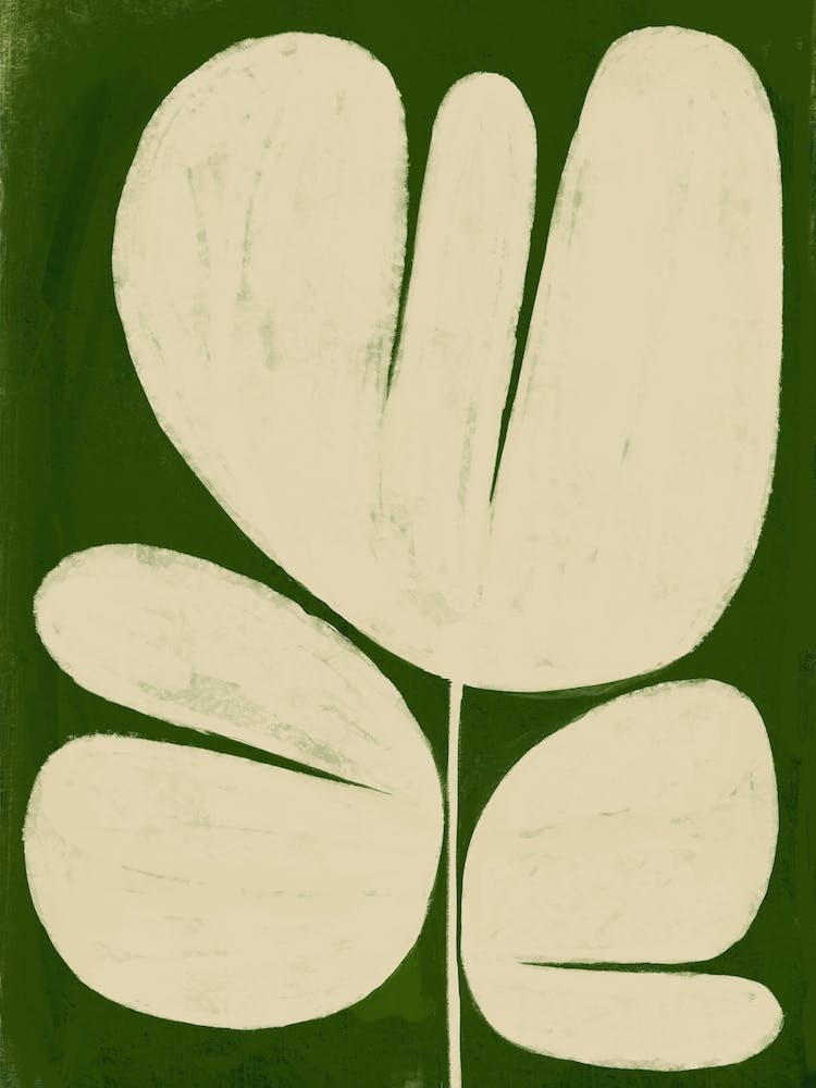 Big White Flower On Green