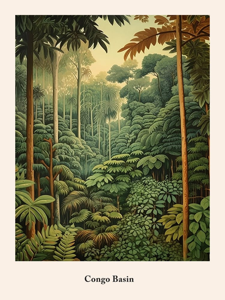 Congo Basin