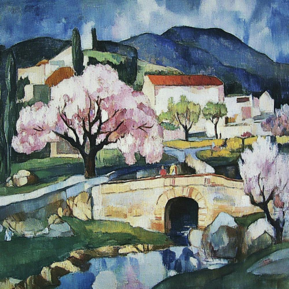 Kirschblüten