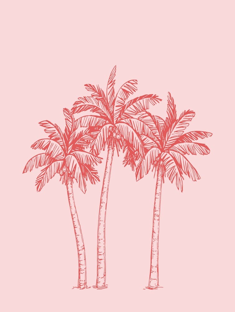 Palm Trees 1