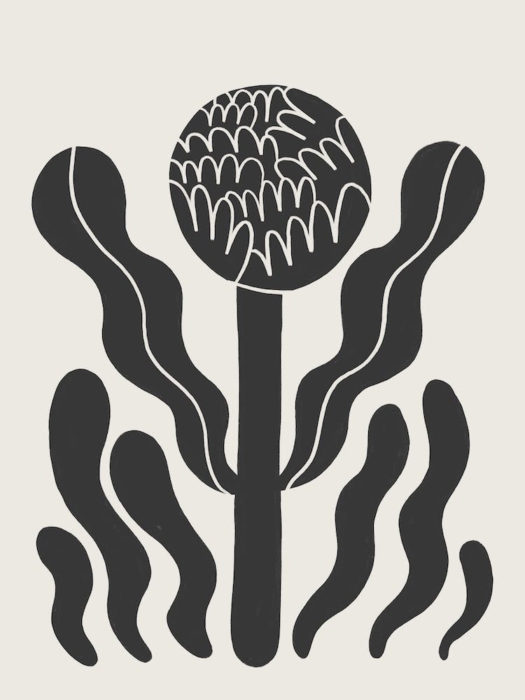 Growth