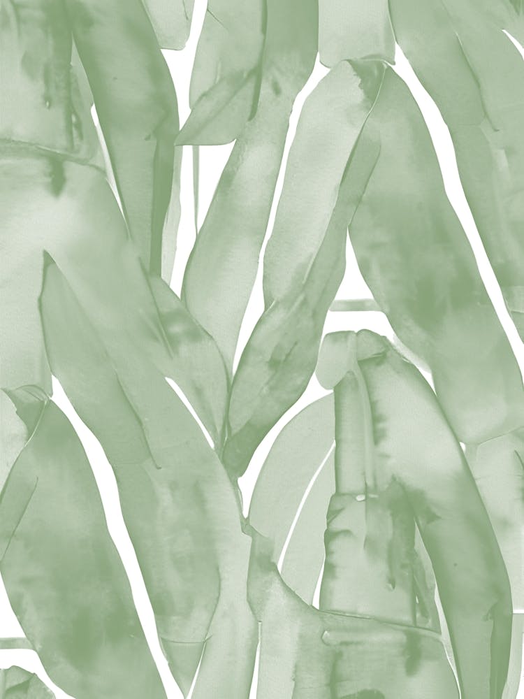 Tropical Leaves, Watercolor Sage Green Botanical
