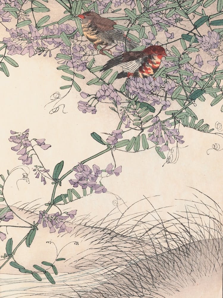 Birds Perched On A Branch