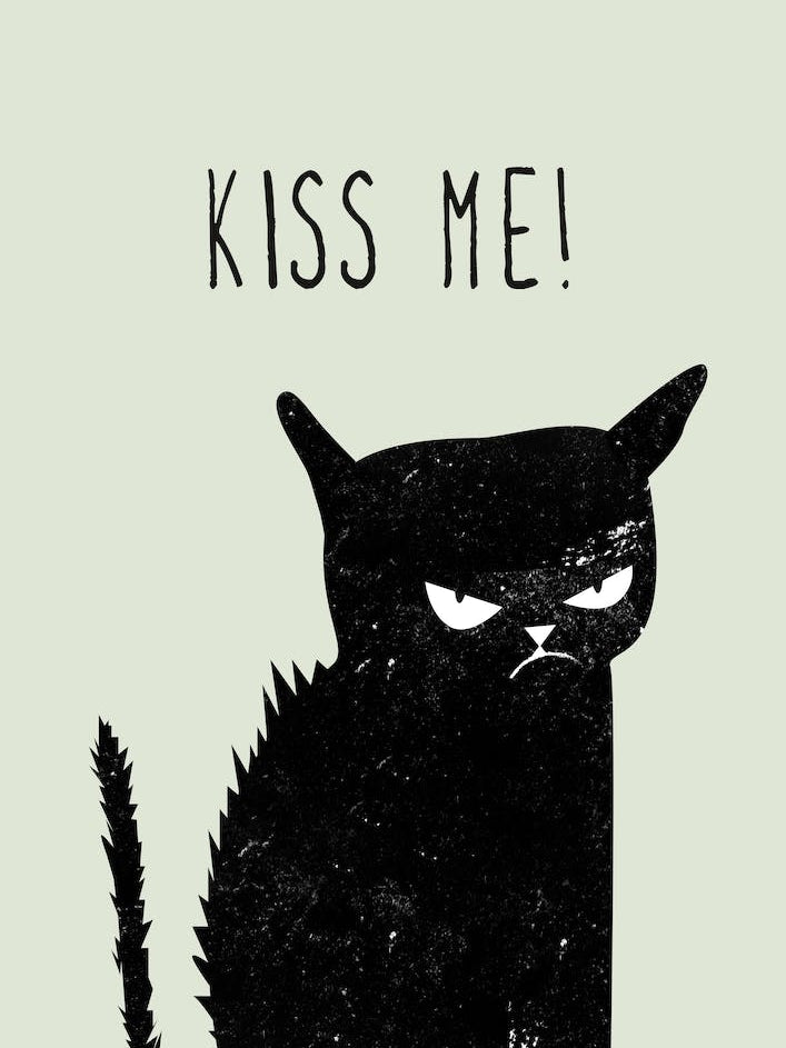 Kiss me Cat