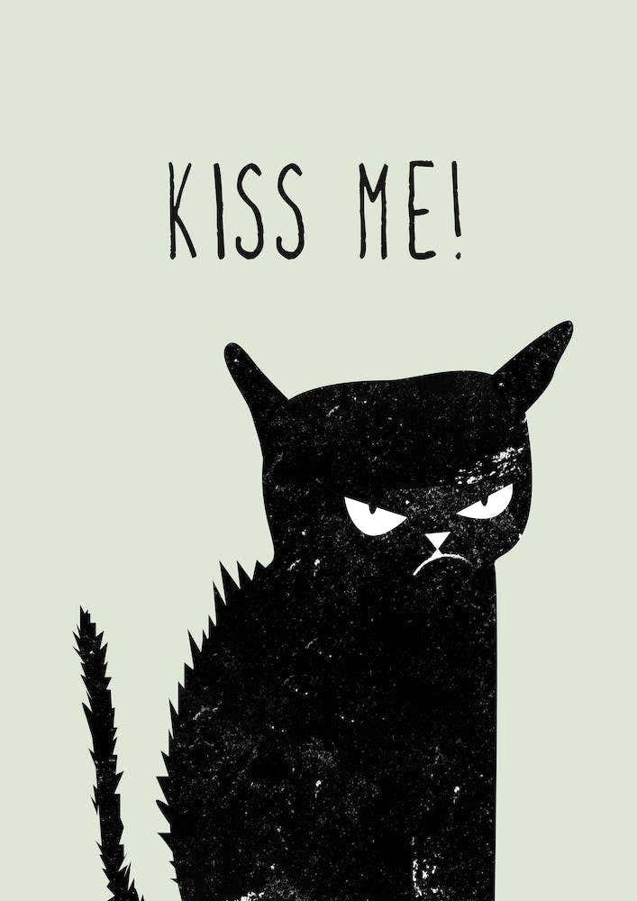Kiss me Cat