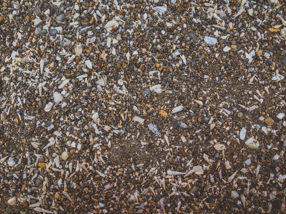 Tiny And Large Sea Shell And Rocks Texture Background 2