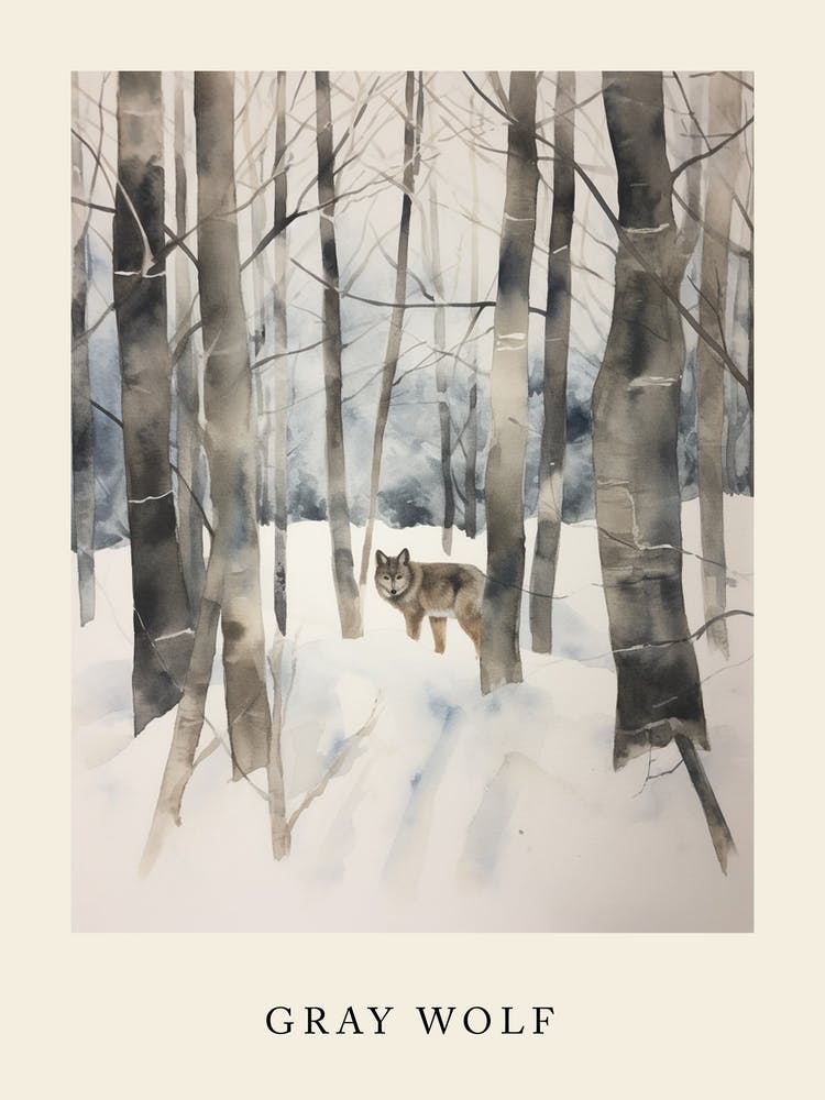 Winter Watercolour Gray Wolf 5 Poster