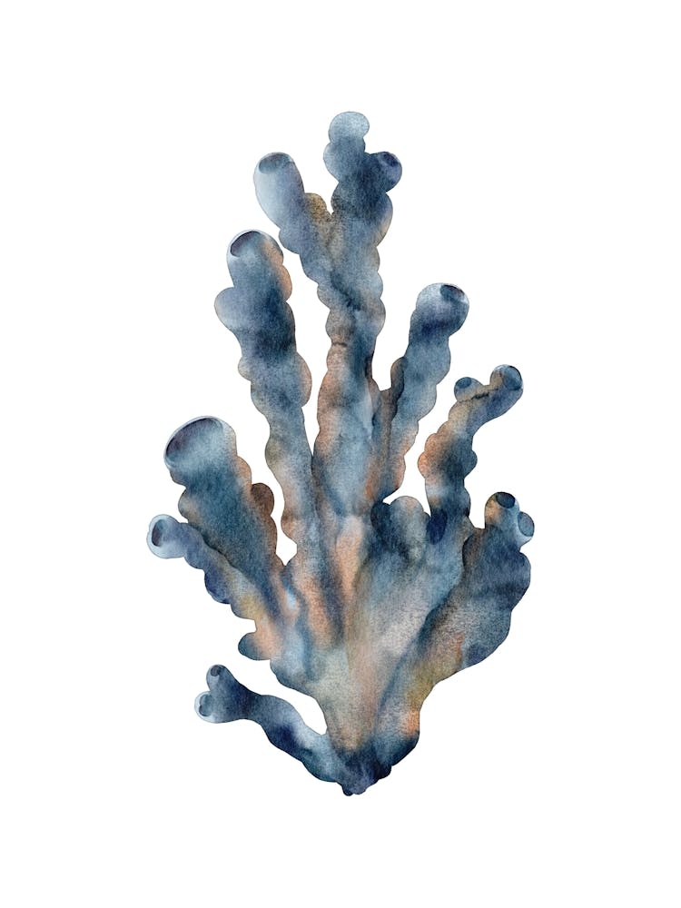 Watercolor Coral 1