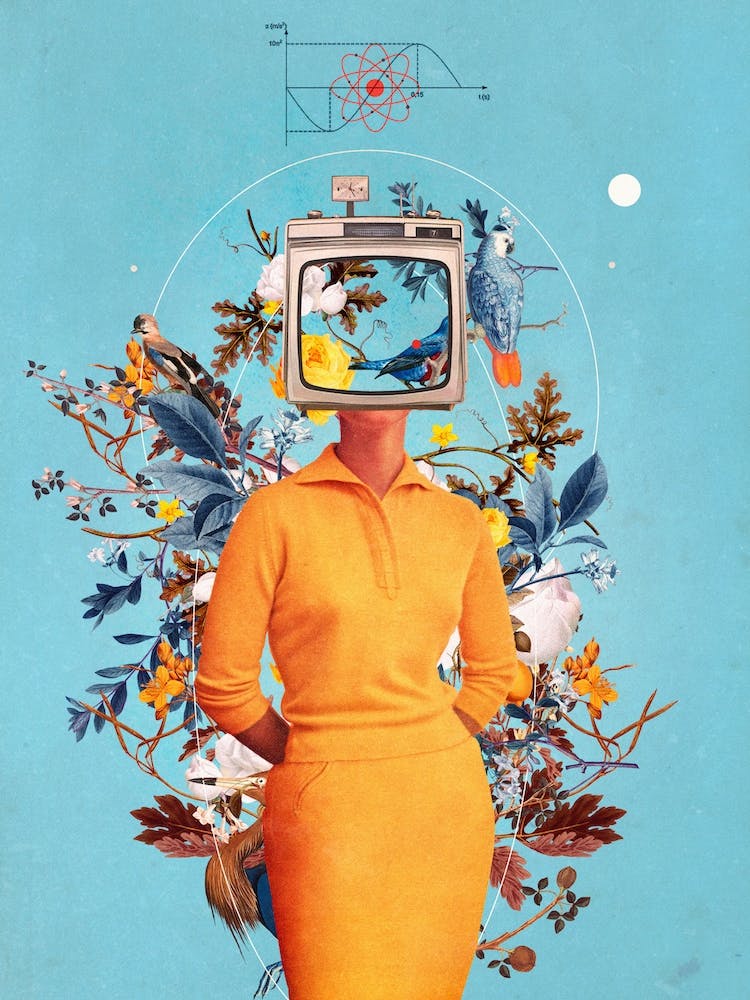 Don'T Feed The Monitors With Your Dreams