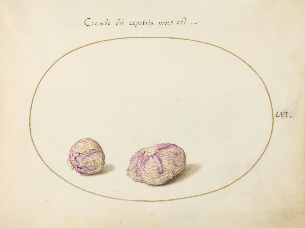 Animalia Qvadrvpedia Et Reptilia, Joris Hoefnagel (4)