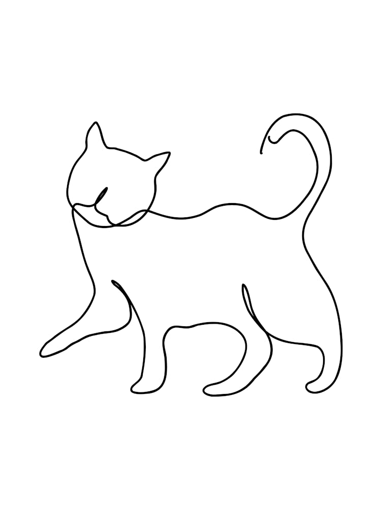 Cat Drawing hand drawing minimalist line art