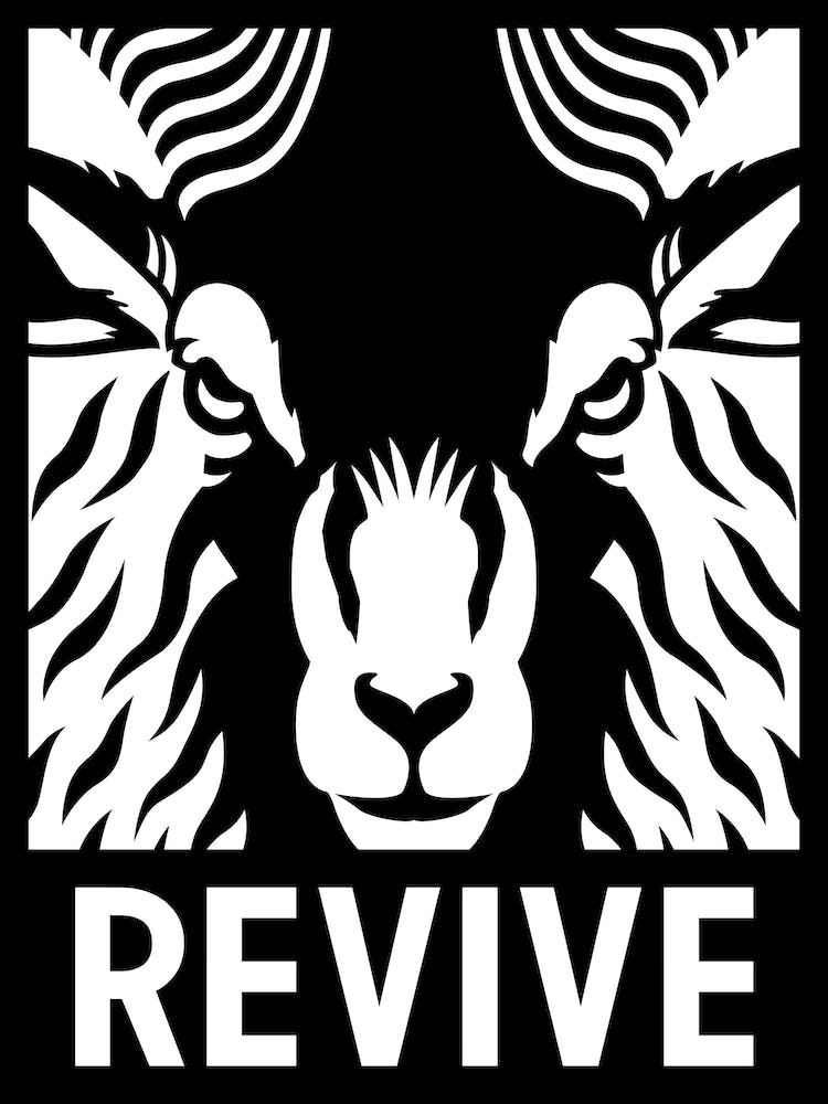 Revive Ram