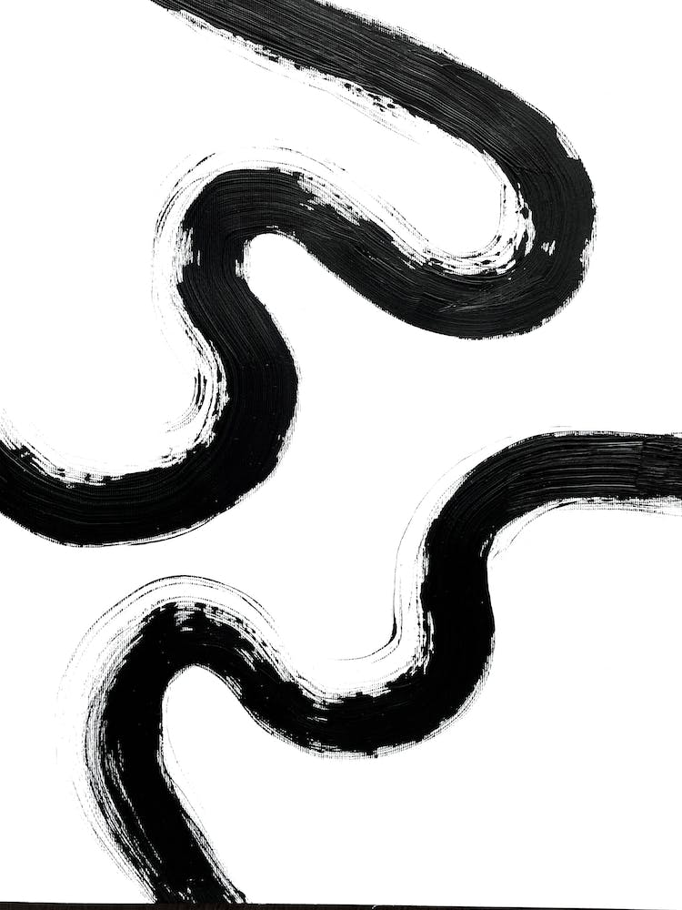 Duo Black Abstract