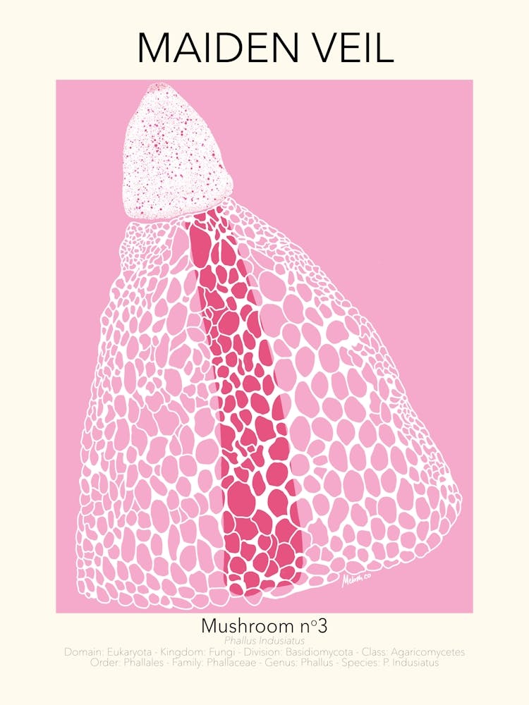 Maiden Veil Mushroom Poster