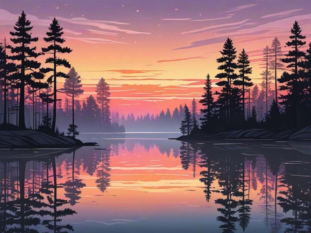 Sunset In The Forest