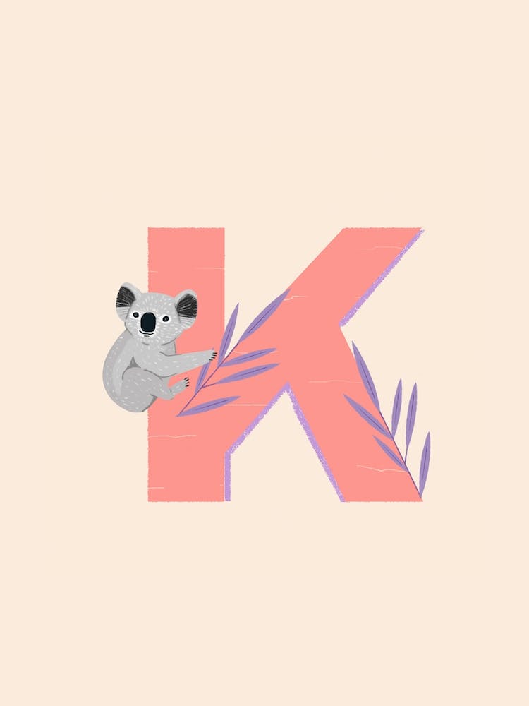 Lettre K Koala