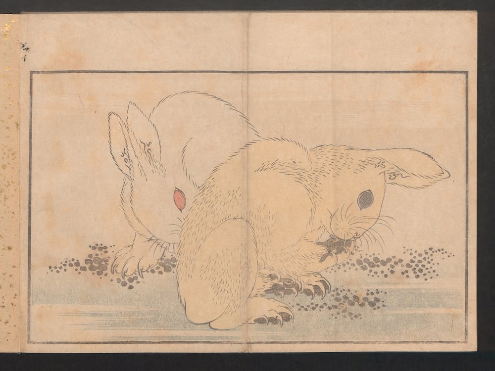 Rabbitt, Katsushika Hokusai