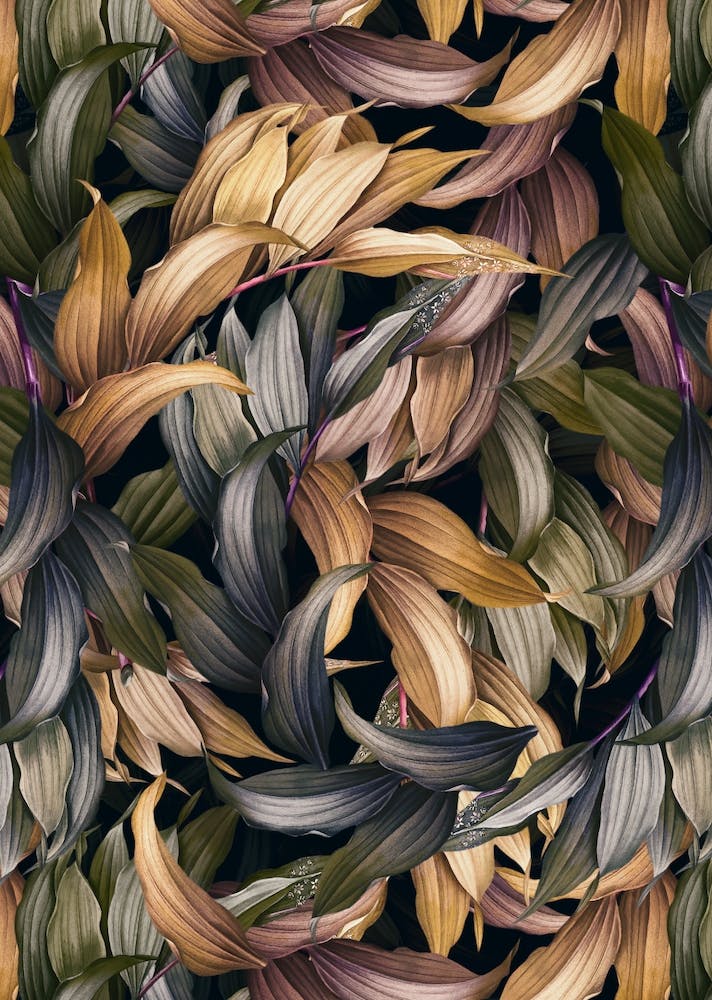 Tropical Magic Forest 4