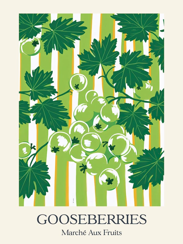 Marche Aux Fruits Gooseberries Fruit Summer Illustration 1
