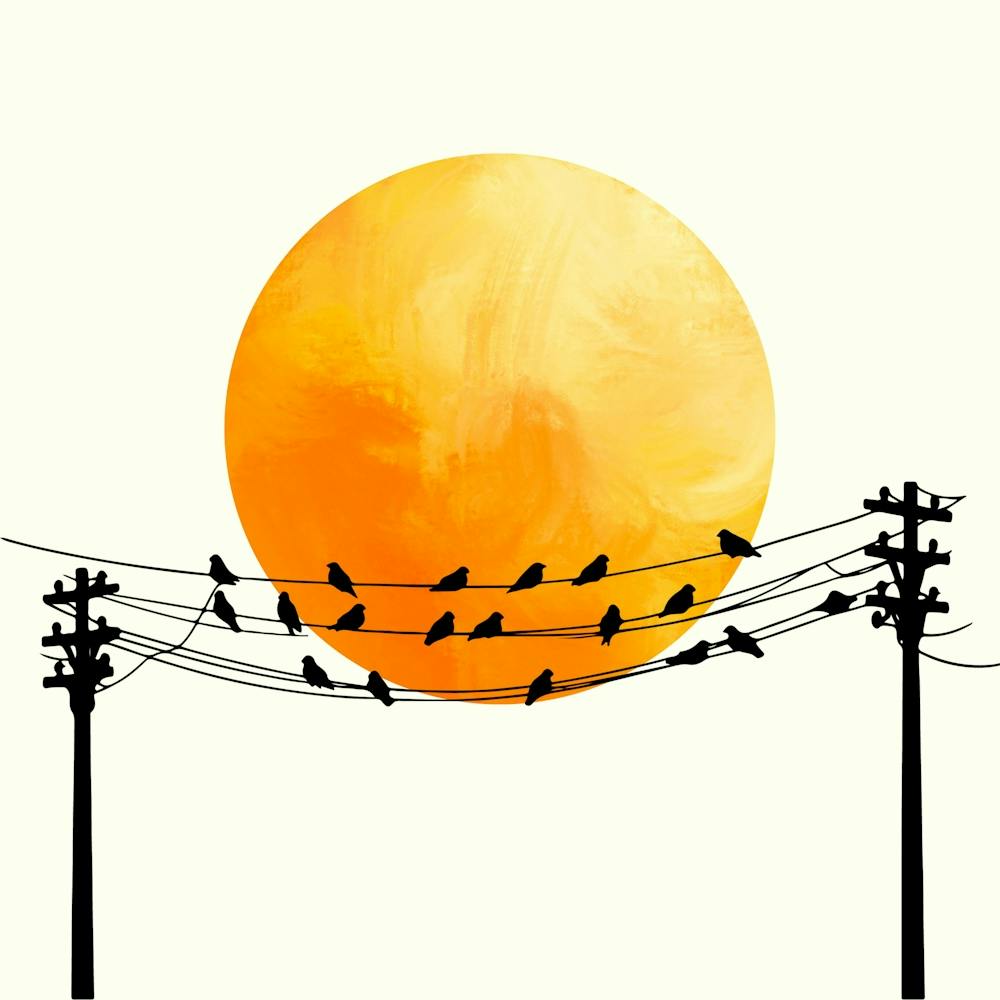 Sun And Bird Design 2