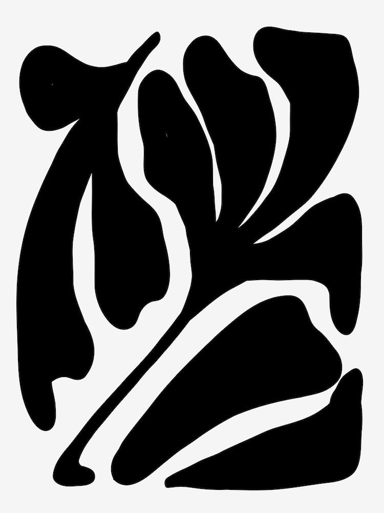 Flores Graphics Various