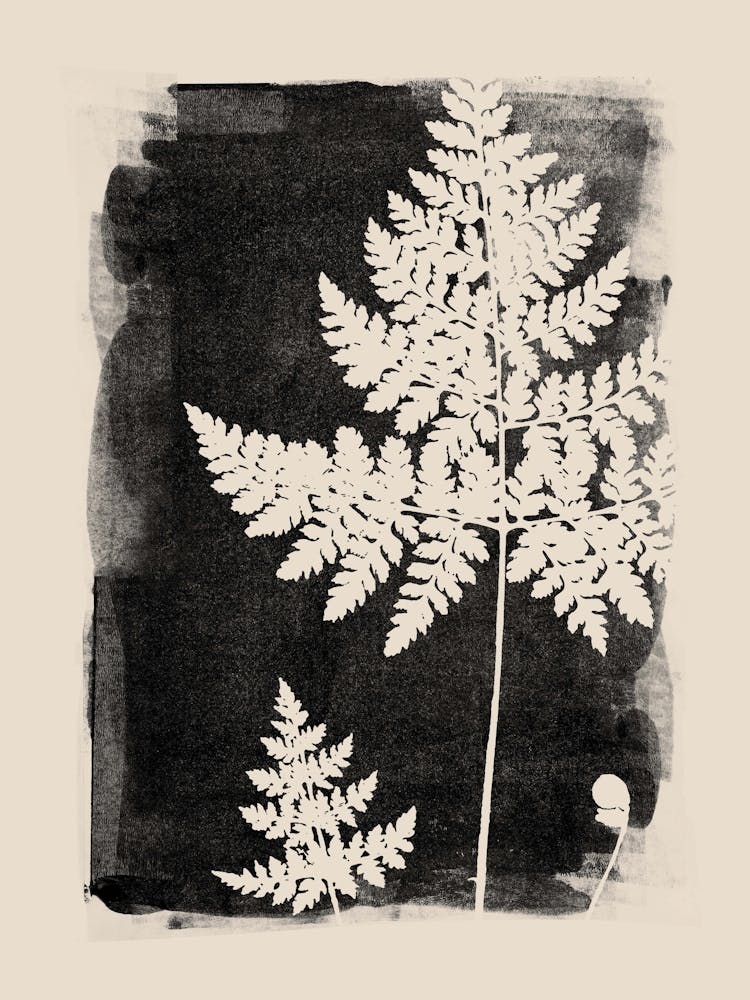 Black Fern, Botanical Art, Minimalist, Cottage Core 2