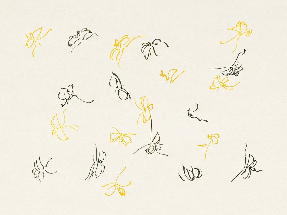 Butterfly Print, Cho Senshu (3)