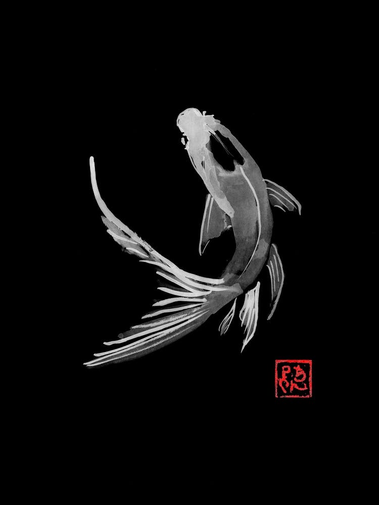 Carp Koi Black 1