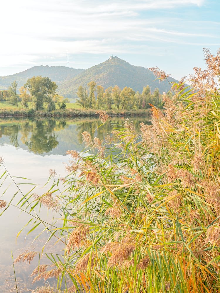 Herbst am See