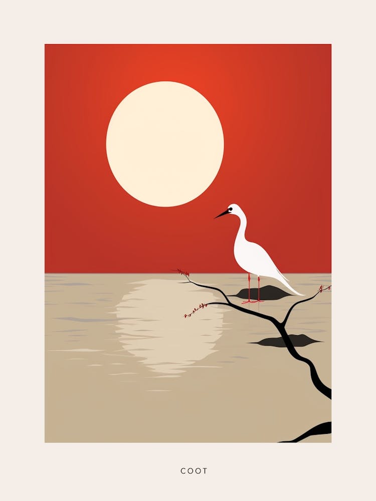Minimalist Coot 3 Bird Poster